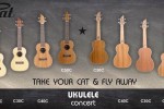 UKULELE KONCERTOWE FLYCAT + STROIK
