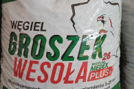 GROSZEK WESOŁA 28MJ