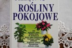 Pielęgnujemy rośliny pokojowe