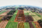 1800 m2 w Ligocie - gm. Burzenin