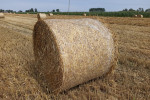 Słoma w balach 130