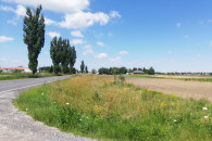 Działka inwestycyjna 1,48ha DK12 gm. Błaszki