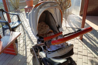 Wòzek coletto gondola