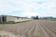 HALA magazynowo - usługowa - Ocin