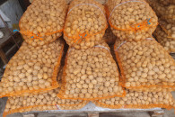 Ziemniaki odpadowe paszowe