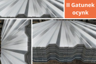 TRAPEZ II Gatunek w ocynku