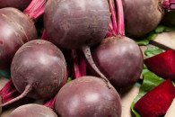 Buraczki czerwone odmiana Wodan