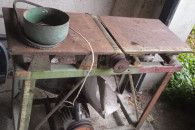 heblarka grubosciowka krajzega okazja