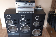 Wieża DIORA i głośniki ALTUS 110W