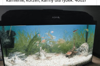 Akwarium Aquael 45l