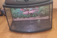 Akwarium 75l