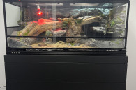 Terrarium z całym wyposażeniem