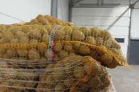 Ziemniaki COLOMBA 3,5-5,5