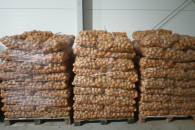 Ziemniaki JUREK I MICHALINA 6zł