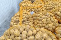 Ziemniaki paszowe transport