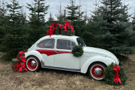 Volkswagen Garbus