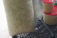 Kapusta Marchew Buraczki