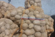 Ziemniaki Jadalne i odpadowe Cebula