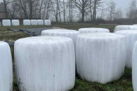 Sianokiszonka w belach