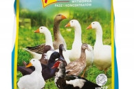 Pasza KACZKA/ GĘŚ FARMER