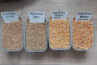 Pszenica Oz Jeczmien Jar. Kukurydza