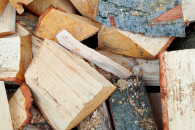 Olcha opałowa łupana