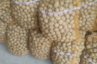 Ziemniaki Colomba, Riviera 3,5-4cm