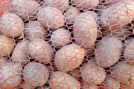 Ziemniaki żółte denar drobne