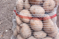 Sprzedam ziemniaki paszowe jadalne sadzeniaki