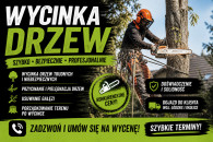 Arborystyczna wycinka drzew