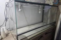 Terarium